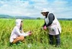 福島・安達太良山の麓で“極上米”を育む農家を訪ねて。「子どもたちにおいしいお米を」自然豊かな大玉村で米づくりに励むママたちの想い